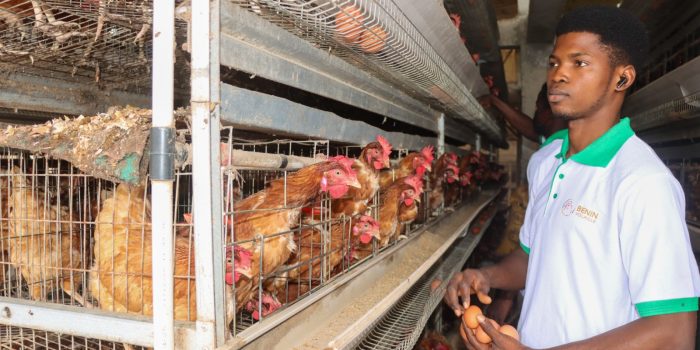 WhatsApp Image 2025-10-02 à 17.00.10_c6c37735