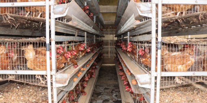 WhatsApp Image 2025-10-02 à 17.00.11_104c769c