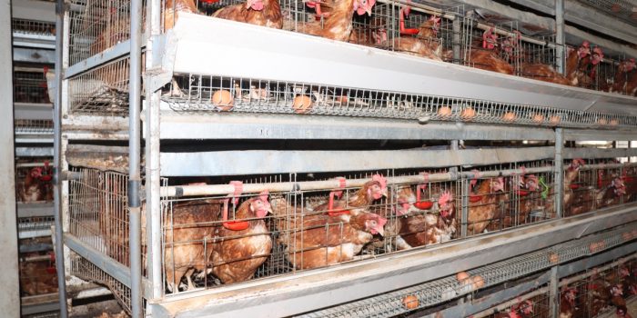 WhatsApp Image 2025-10-02 à 17.00.12_61727a75