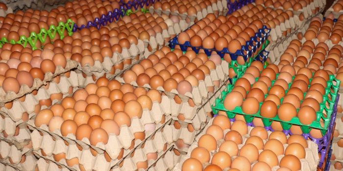 WhatsApp Image 2025-10-02 à 17.00.12_dab18622