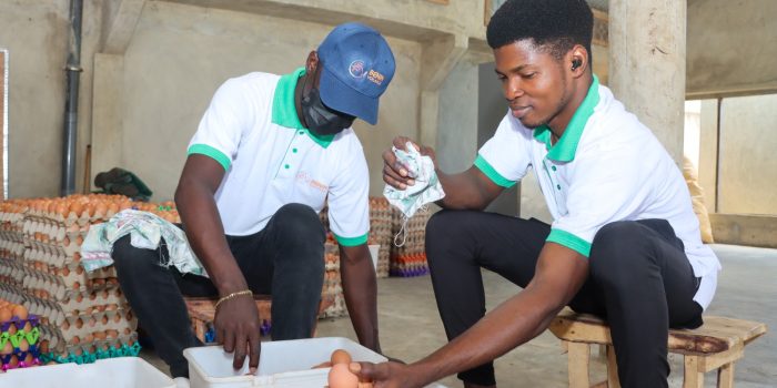 WhatsApp Image 2025-10-02 à 17.00.13_d453eaab