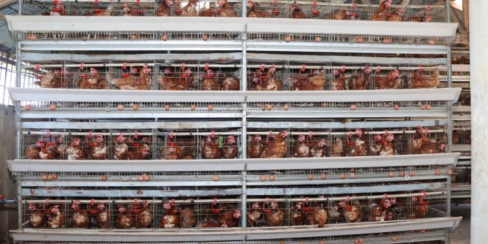 WhatsApp Image 2025-10-02 à 17.00.15_94e4d8d2