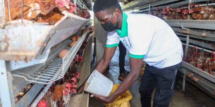 WhatsApp Image 2025-10-02 à 17.00.15_ef1d617b