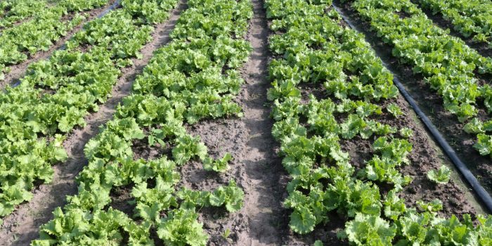 WhatsApp Image 2025-10-02 à 17.00.17_b210f3c8